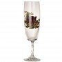 Champagne Glass Set 6 pcs (220 ml)
