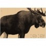 Target BORNER Elk (150x100 cm)