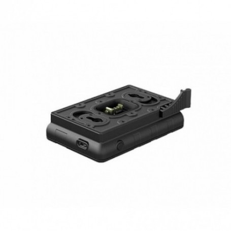 Battery Charger PULSAR IPS (79164)